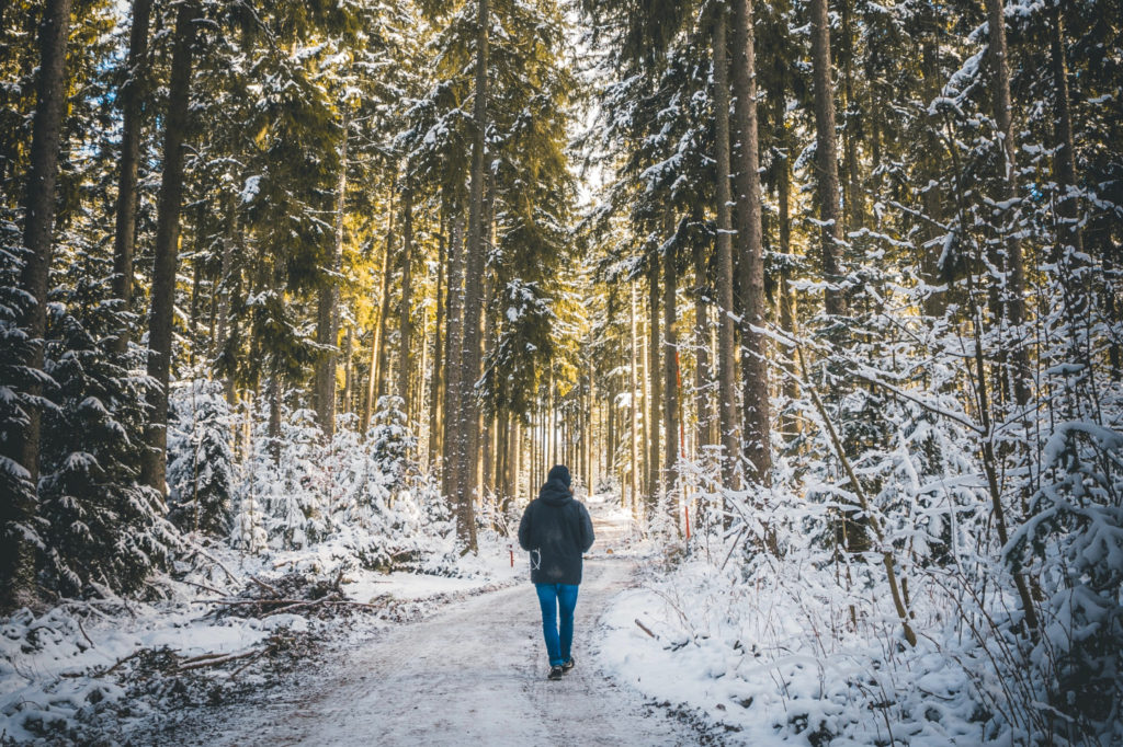 Person in the Woods in Winter
